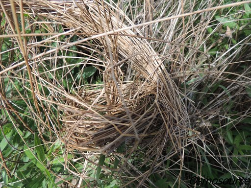 Image de présentation de nos liens